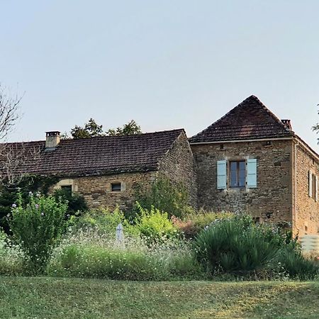 La Libellule&Le Papillon gites at Les Leroux, near Frayssinet-le-Gélat Extérieur photo