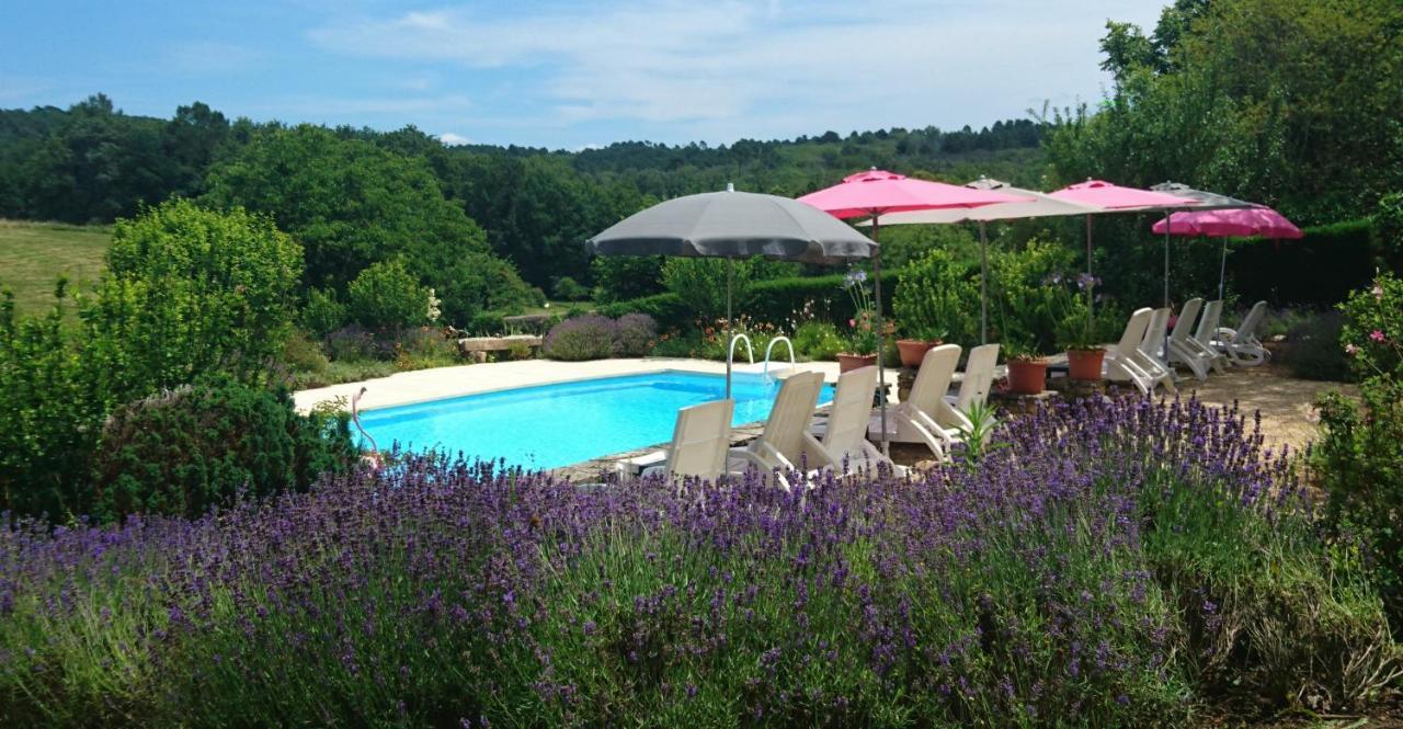 La Libellule&Le Papillon gites at Les Leroux, near Frayssinet-le-Gélat Extérieur photo