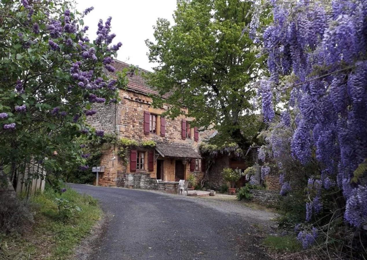 La Libellule&Le Papillon gites at Les Leroux, near Frayssinet-le-Gélat Extérieur photo