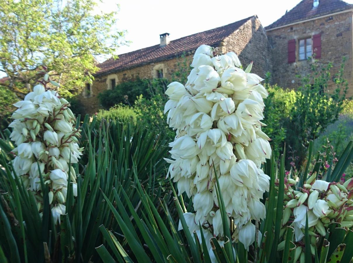 La Libellule&Le Papillon gites at Les Leroux, near Frayssinet-le-Gélat Extérieur photo